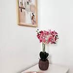 Apartmán Flair-apartments 'apartment Naehe Schlosspark', 300 M Bahnhof, Innenstadt Stadtteil Schoetmar, Fuer Urlaub Oder Geschaeftsreise, Separater Eingang, 24 Std Check-in,wlan, Streaming-fernseher, Kueche, Regendusche, Doppelbett, 2 Schlafsofa