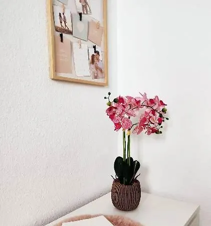 Daire 50 Qm Fuer 4 Personen, Monteure Oder Geschaeftsreisende, Smart-tv, Wlan, Separater Eingang, 24 Std Check-in, Doppelbett, 2 Schlafsofa, 50 M Bis Zum Schlosspark, Lebensmittelgeschaefte In Der Naehe