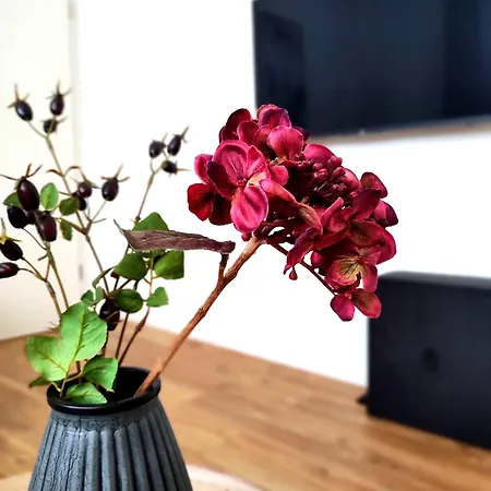 Flair-apartments 'apartment Naehe Schlosspark', 300 M Bahnhof, Innenstadt Stadtteil Schoetmar, Fuer Urlaub Oder Geschaeftsreise, Separater Eingang, 24 Std Check-in,wlan, Streaming-fernseher, Kueche, Regendusche, Doppelbett, 2 Schlafsofa バート・ザルツフレン