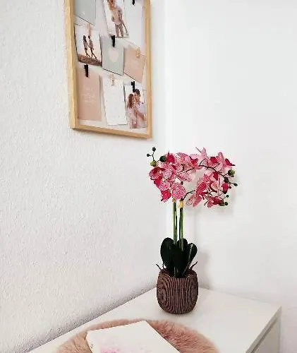 Διαμέρισμα Flair-apartments 'apartment Naehe Schlosspark', 300 M Bahnhof, Innenstadt Stadtteil Schoetmar, Fuer Urlaub Oder Geschaeftsreise, Separater Eingang, 24 Std Check-in,wlan, Streaming-fernseher, Kueche, Regendusche, Doppelbett, 2 Schlafsofa