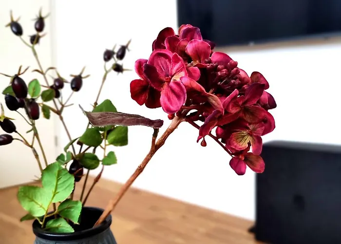 Flair-apartments 'apartment Naehe Schlosspark', 300 M Bahnhof, Innenstadt Stadtteil Schoetmar, Fuer Urlaub Oder Geschaeftsreise, Separater Eingang, 24 Std Check-in,wlan, Streaming-fernseher, Kueche, Regendusche, Doppelbett, 2 Schlafsofa Bad Salzuflen